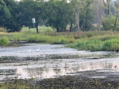 Cornelia Fort Airpark photo 31