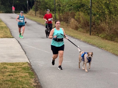 Stones River Greenway at Percy Priest Dam photo 5
