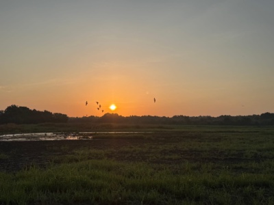 Cornelia Fort Airpark photo 32