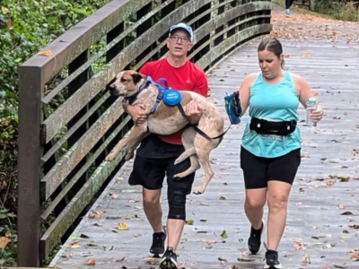 Stones River Greenway at Percy Priest Dam photo 4
